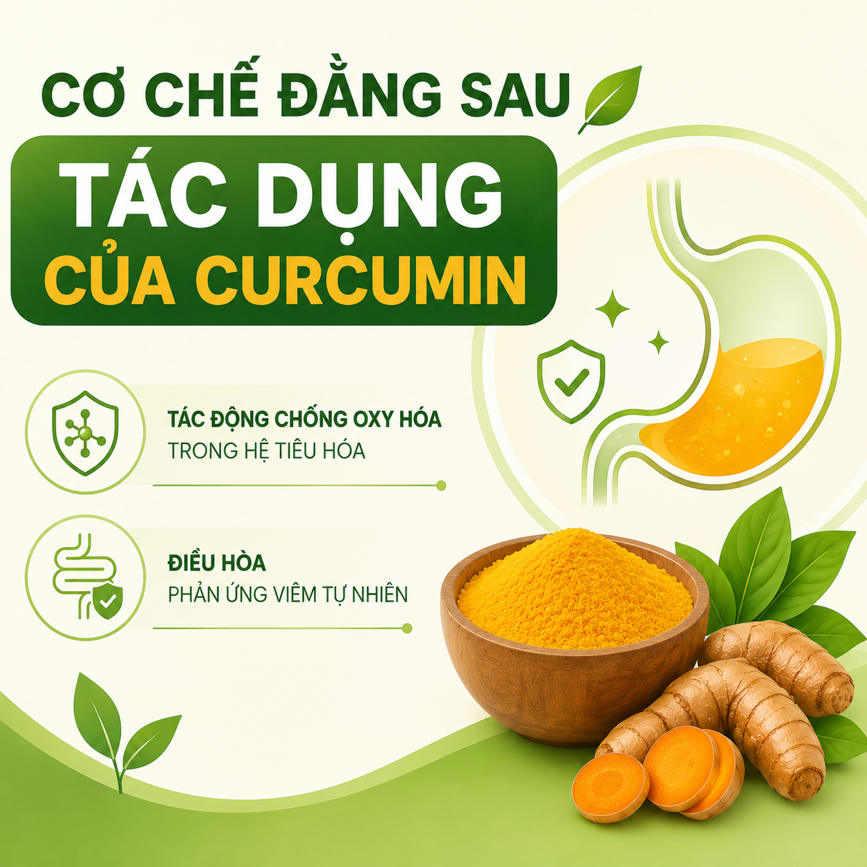 Cơ chế đăng sau tác dụng của curcumin