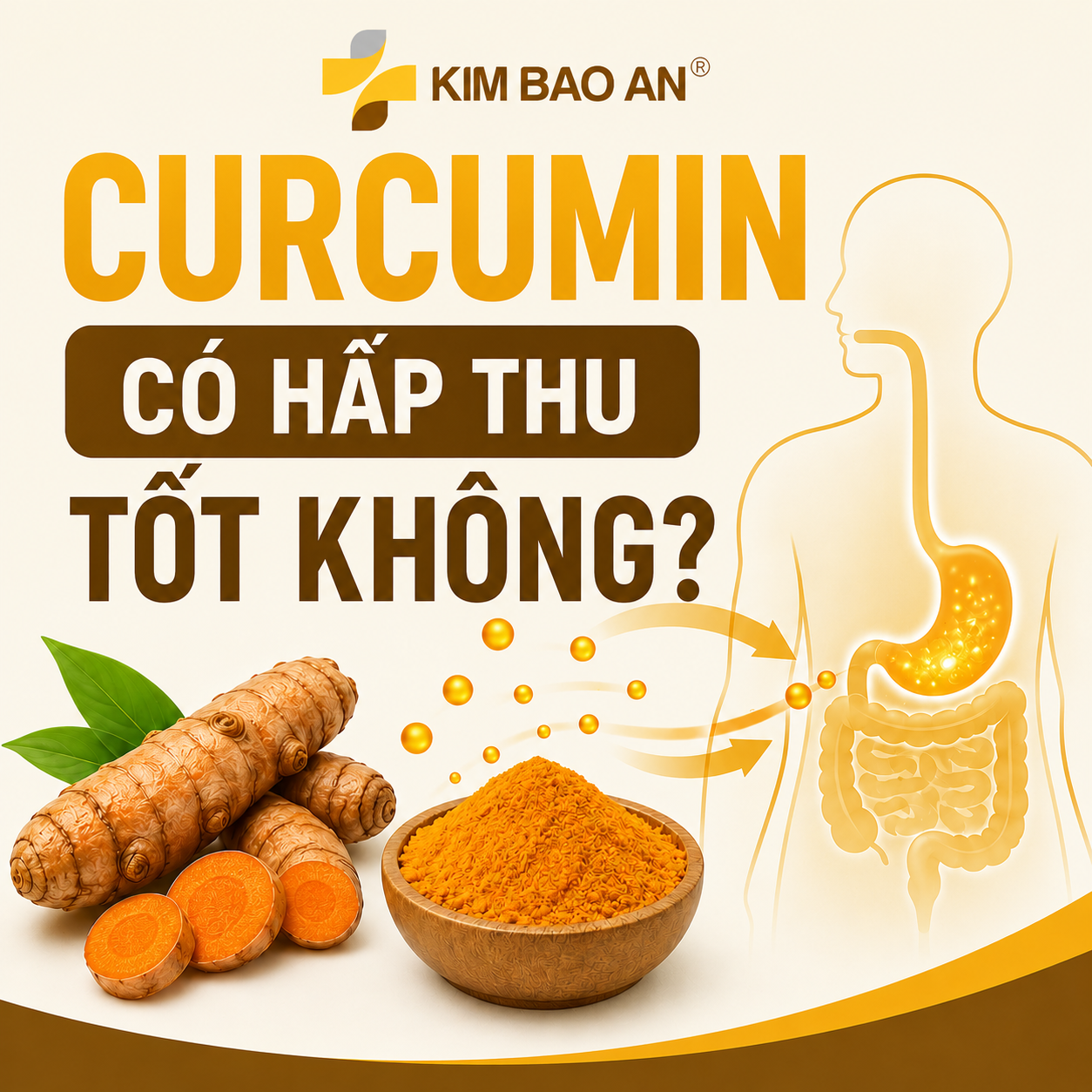 Curcumin có hấp thu tốt không?
