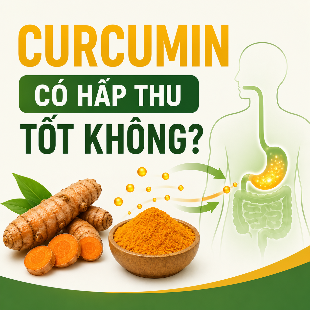 Curcumin có hấp thu tốt không?