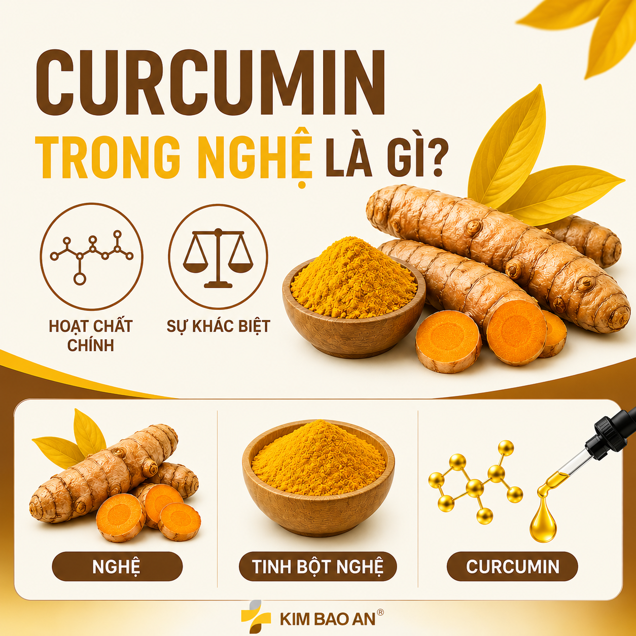 Curcumin trong nghệ là gì?