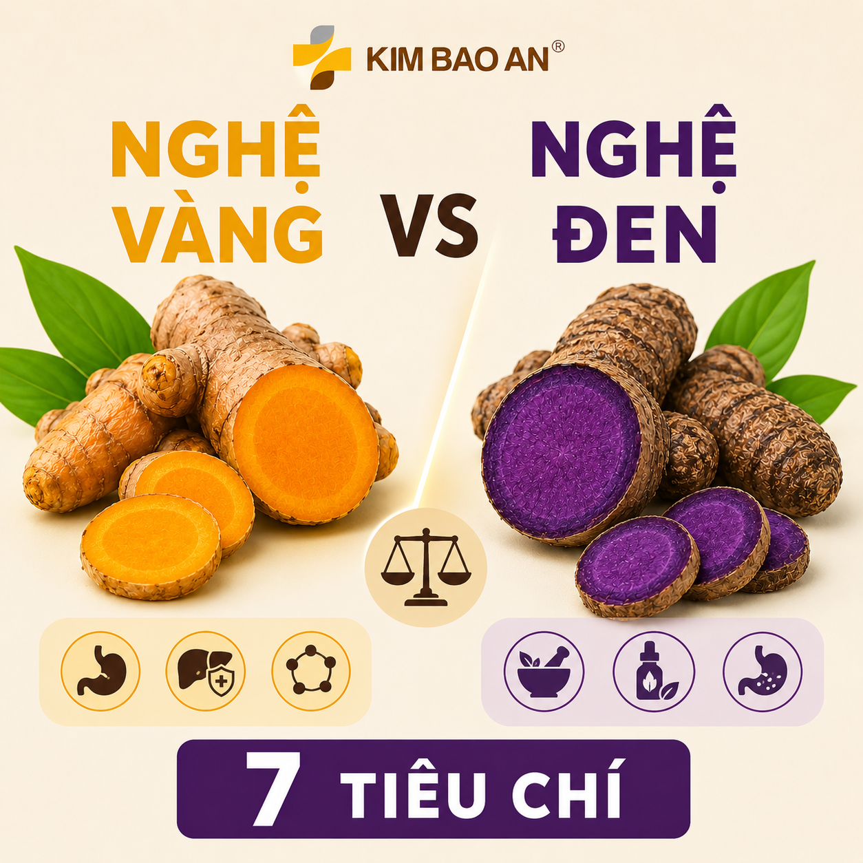 Những tiêu chí phân biệt nghệ vàng và nghệ đen bạn cần nắm rõ 