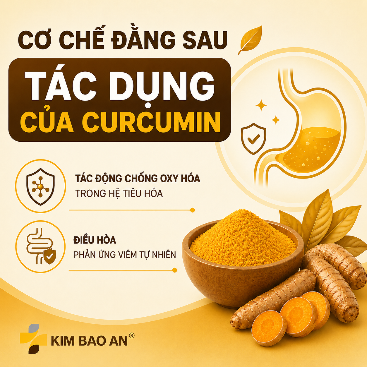 Cơ chế đăng sau tác dụng của curcumin