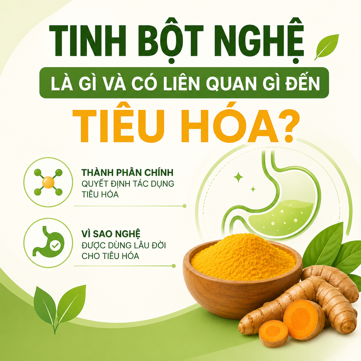 Tinh bột nghệ là gì và có liên quan gì đến hệ tiêu hóa