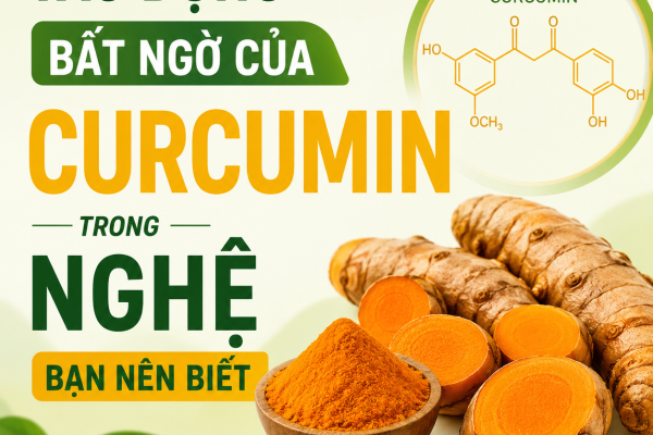 Tác Dụng Bất Ngờ Của Curcumin Trong Nghệ Bạn Nên Biết