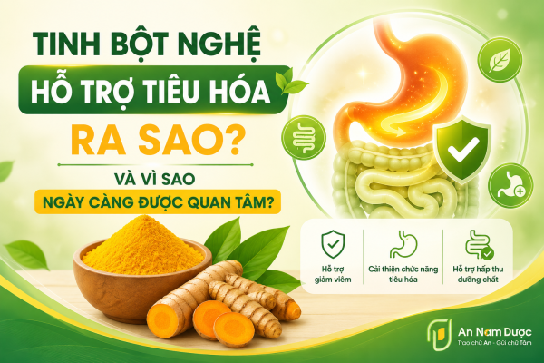 Tinh Bột Nghệ Hỗ Trợ Tiêu Hóa Ra Sao Và Vì Sao Ngày Càng Được Quan Tâm?