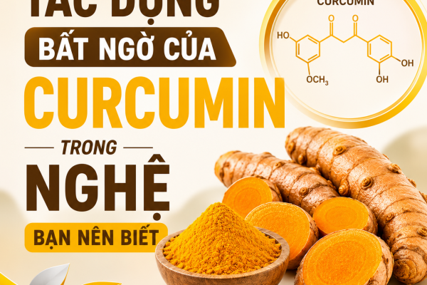 Tác Dụng Bất Ngờ Của Curcumin Trong Nghệ Bạn Nên Biết