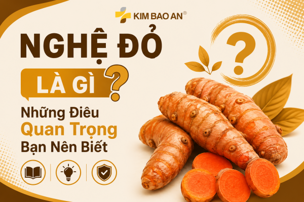 Nghệ Đỏ Là Gì? Những Điều Quan Trọng Bạn Nên Biết