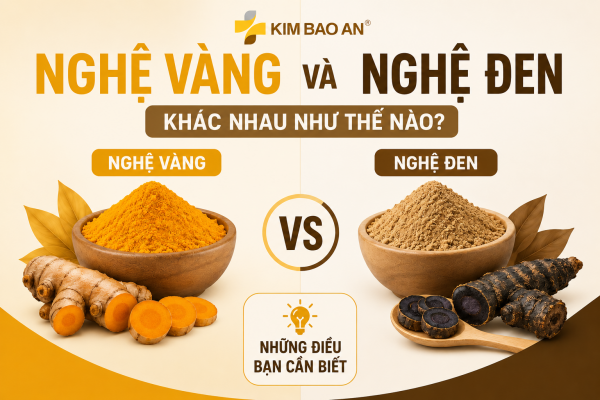 Nghệ Vàng Và Nghệ Đen Khác Nhau Như Thế Nào? Những Điều Bạn Cần Biết