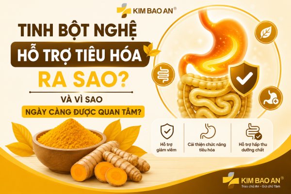 Tinh Bột Nghệ Hỗ Trợ Tiêu Hóa Ra Sao Và Vì Sao Ngày Càng Được Quan Tâm?