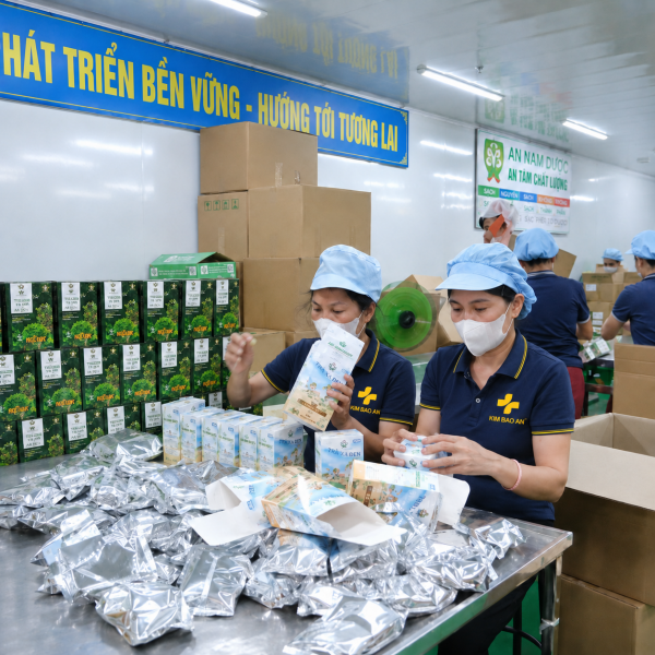 Quy Trình Sản Xuất Trà Thảo Dược Chuẩn Chất Lượng Tại Kim Bảo An