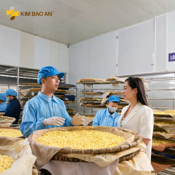 Bên Trong Quy Trình Sản Xuất Tinh Nghệ Kim Bảo An
