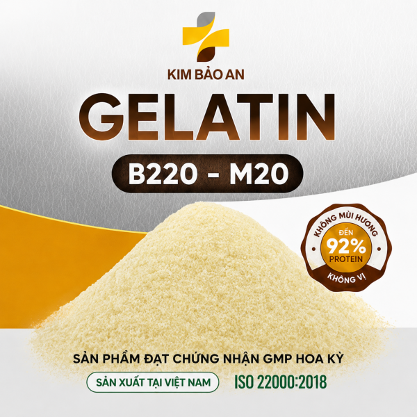 Gelatin B220 - M20 Kim Bảo An