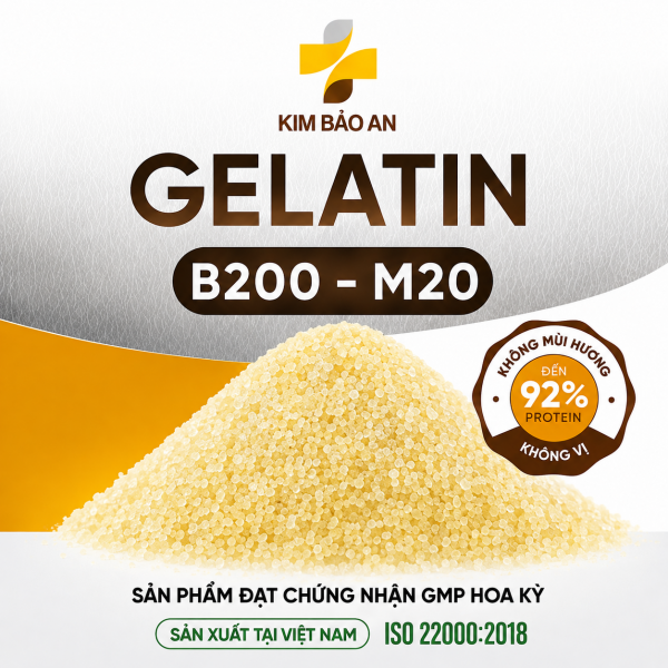 Gelatin B200 - M20 Kim Bảo An